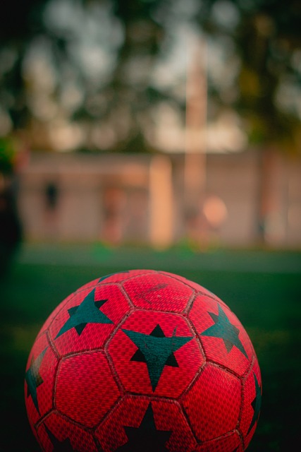 团队合作的 团队合作的